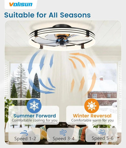 Ceiling fan with summer and winter modes displayed on a white background