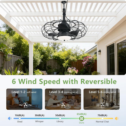 20 Inch Black Outdoor Ceiling Fan IP65 Weatherproof with Light and Remote